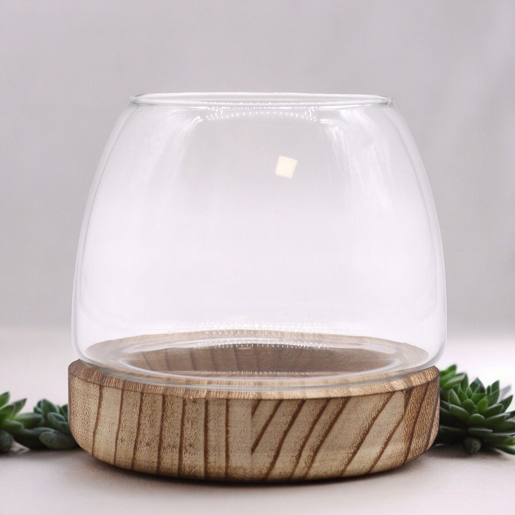 Small Terrarium on Natural Tung Wood product image 2