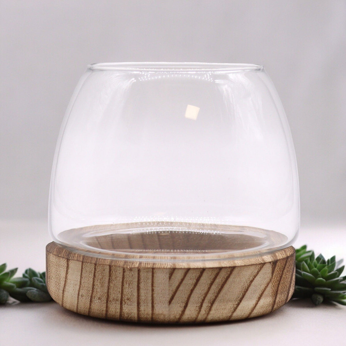 Small Terrarium on Natural Tung Wood product image 2