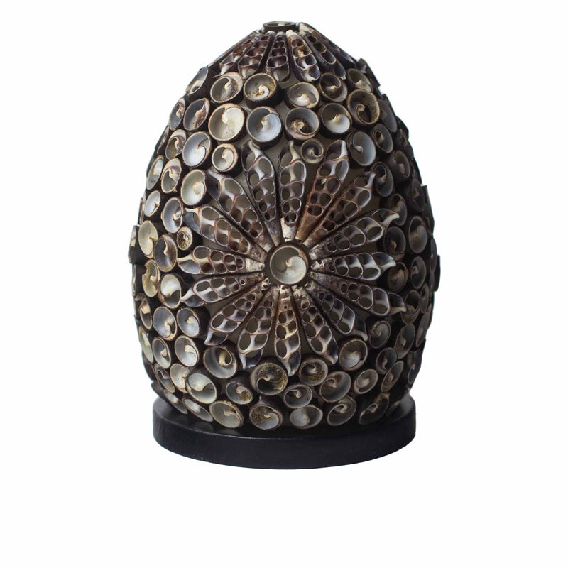 Boho Sea Shell Lamp - Chocolate Twist Oval - 15cm product image
