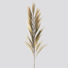 Rayung Grass Blond - 2m product image 2