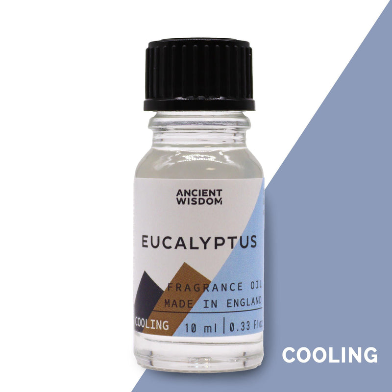 10ml Eucalyptus Fragrance Oil product image