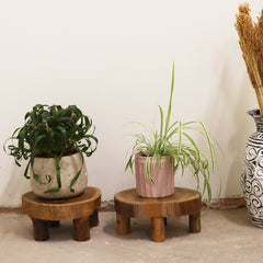 Low Teak Pad Display - 24x10cm product image 2