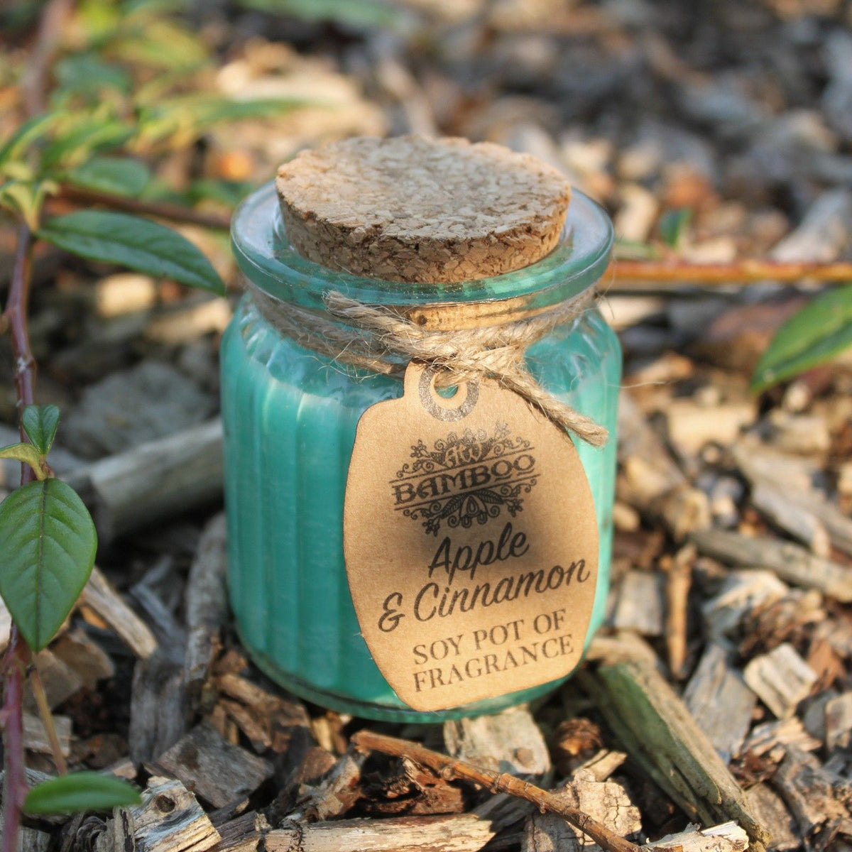 Apple & Cinnamon Soy Pot of Fragrance Candles product image 2