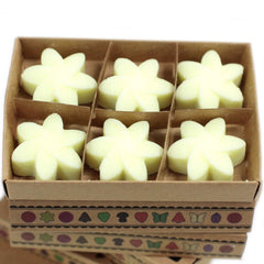 Box of 6 Wax Melts - Lemon Harvest product image 6