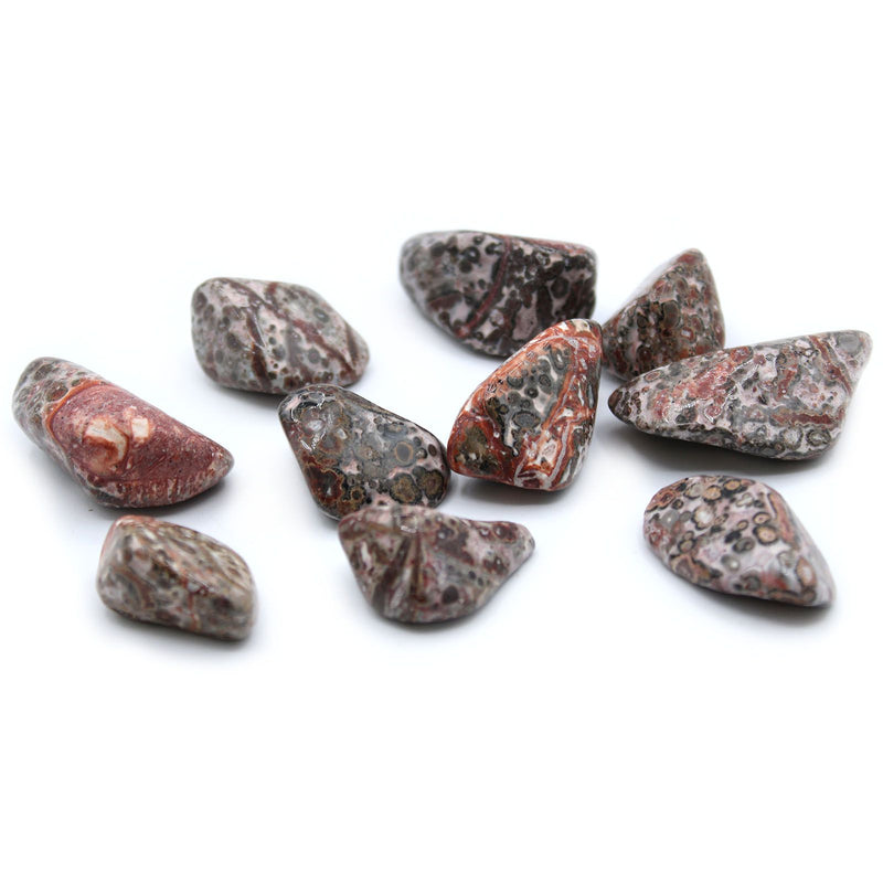 L Tumble Stones - Leopard Skin product image