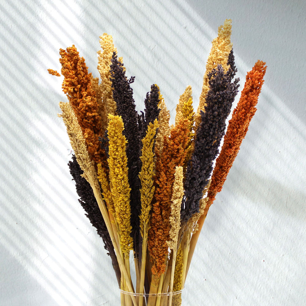 Cantal Grass Bunch - Orange product image