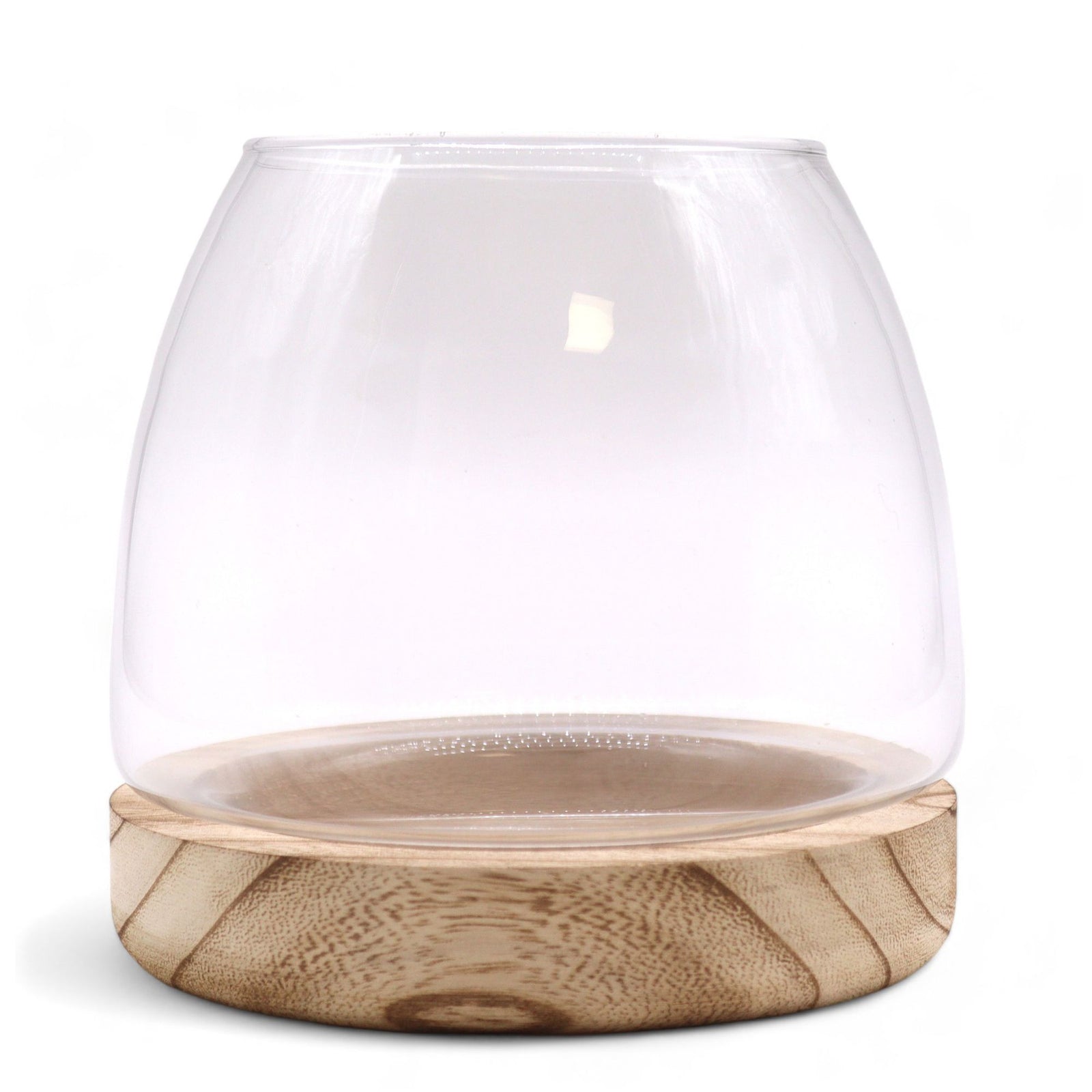 Medium Terrarium on Natural Tung Wood product image