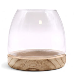 Medium Terrarium on Natural Tung Wood product image