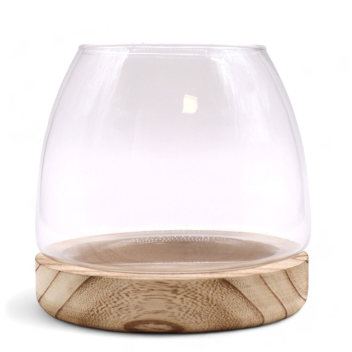 Medium Terrarium on Natural Tung Wood product image