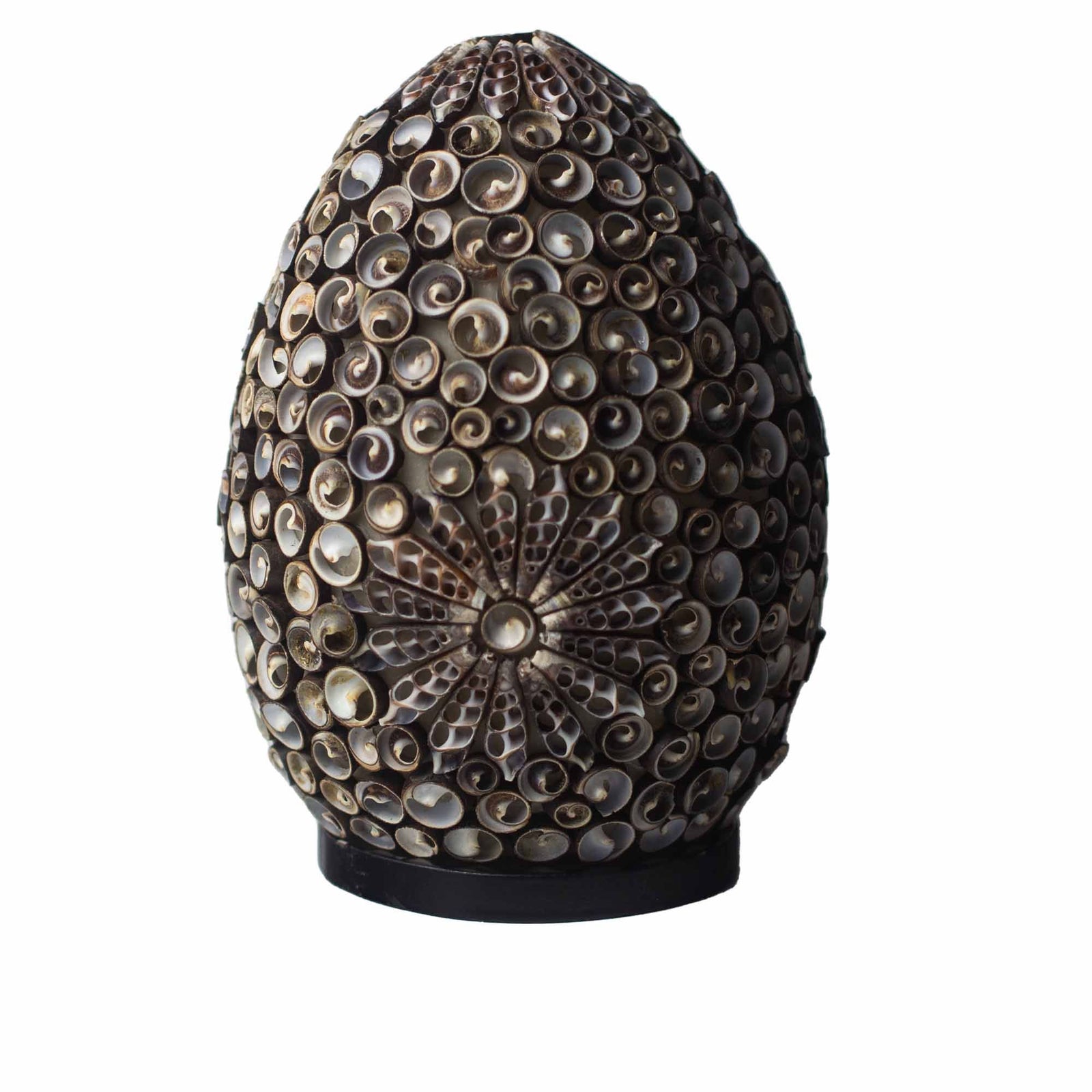 Boho Sea Shell Lamp - Chocolate Twist Oval - 20cm product image