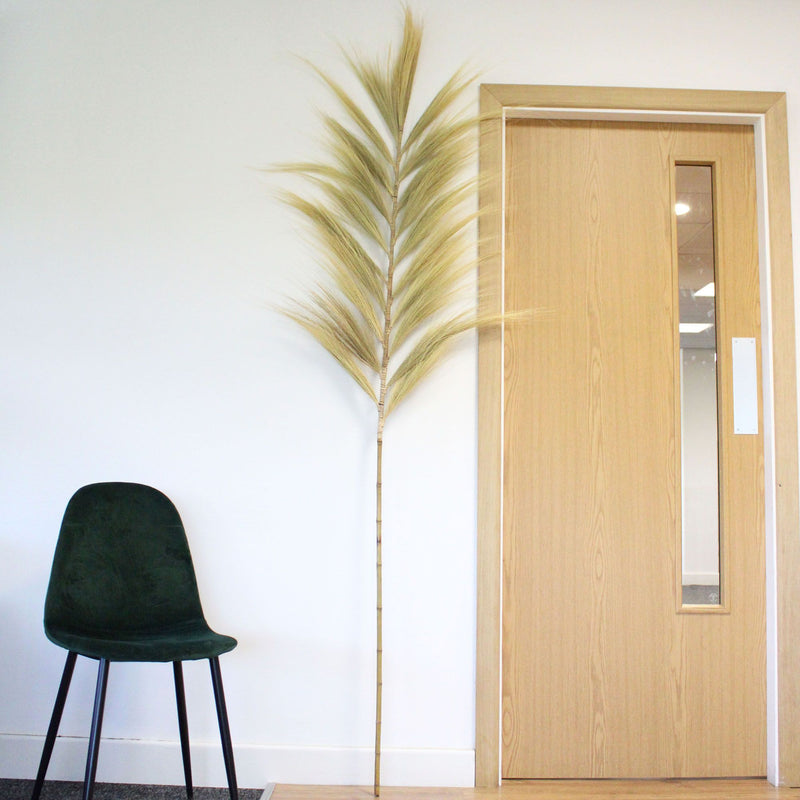 Rayung Grass Blond - 2m product image