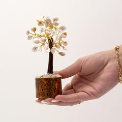 Med Gomati Chakra Circle Stone Tree - (45 stones) product image 2