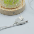 Floral Glow Garden Dome - 20 Tulips - LED USB product image