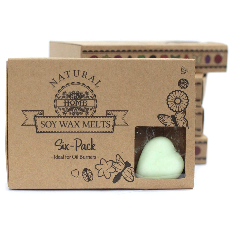 Box of 6 Wax Melts - Watermelon Fresh product image