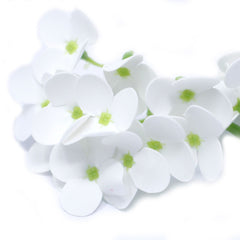 Craft Soap Flowers - Hyacinth Bean - White product image 7