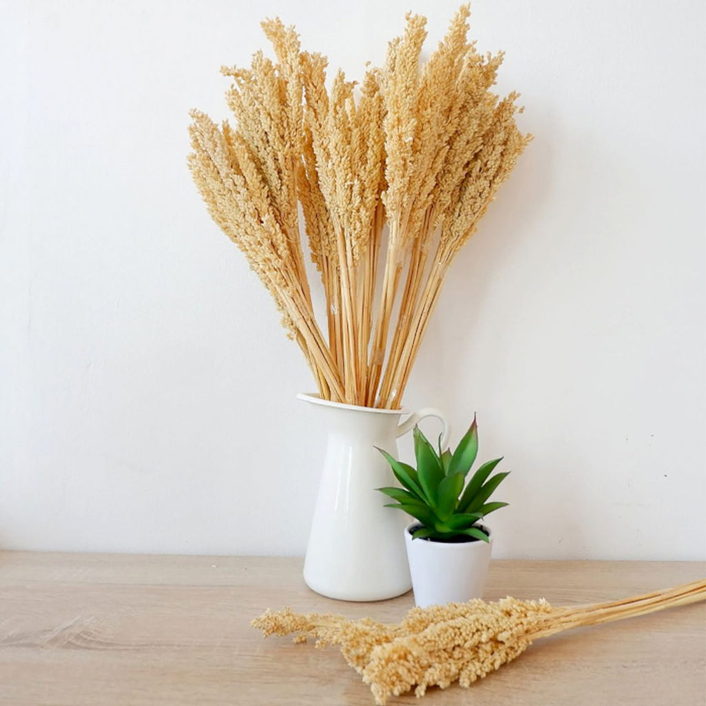 Cantal Grass Bunch - Natural product image 6