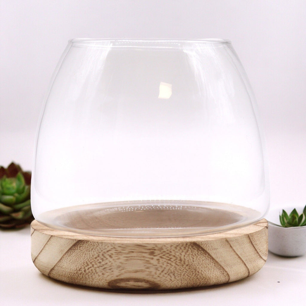 Medium Terrarium on Natural Tung Wood product image 2