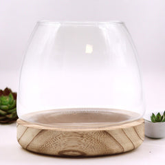 Medium Terrarium on Natural Tung Wood product image 2