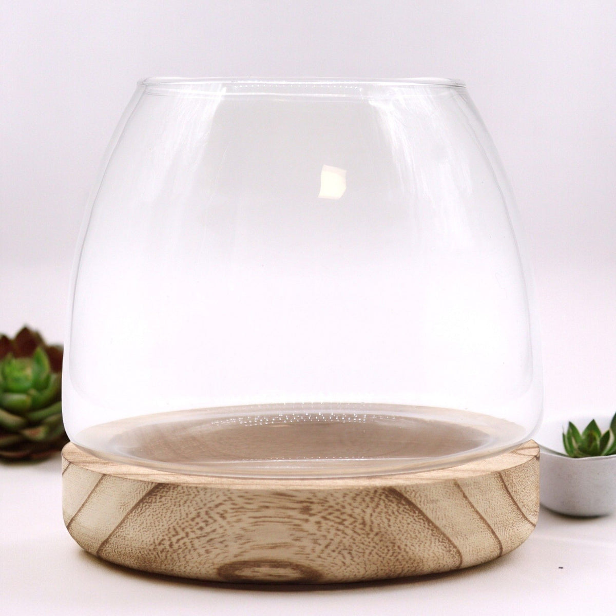 Medium Terrarium on Natural Tung Wood product image 2