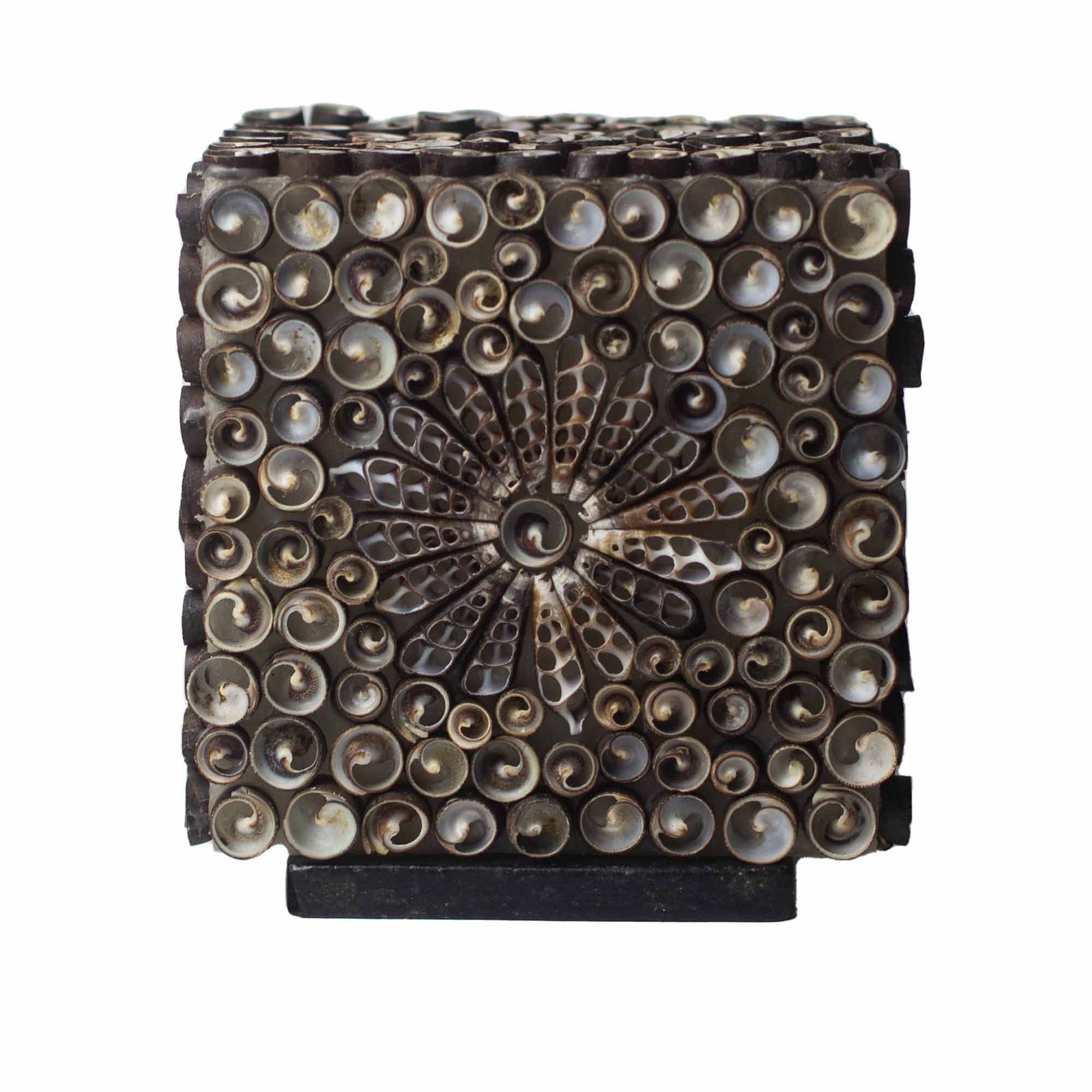 Boho Sea Shell Lamp - Chocolate Twist Square - 15cm product image