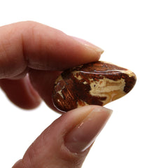 Small African Tumble Stones - Light Jasper - Brecciated product image 2