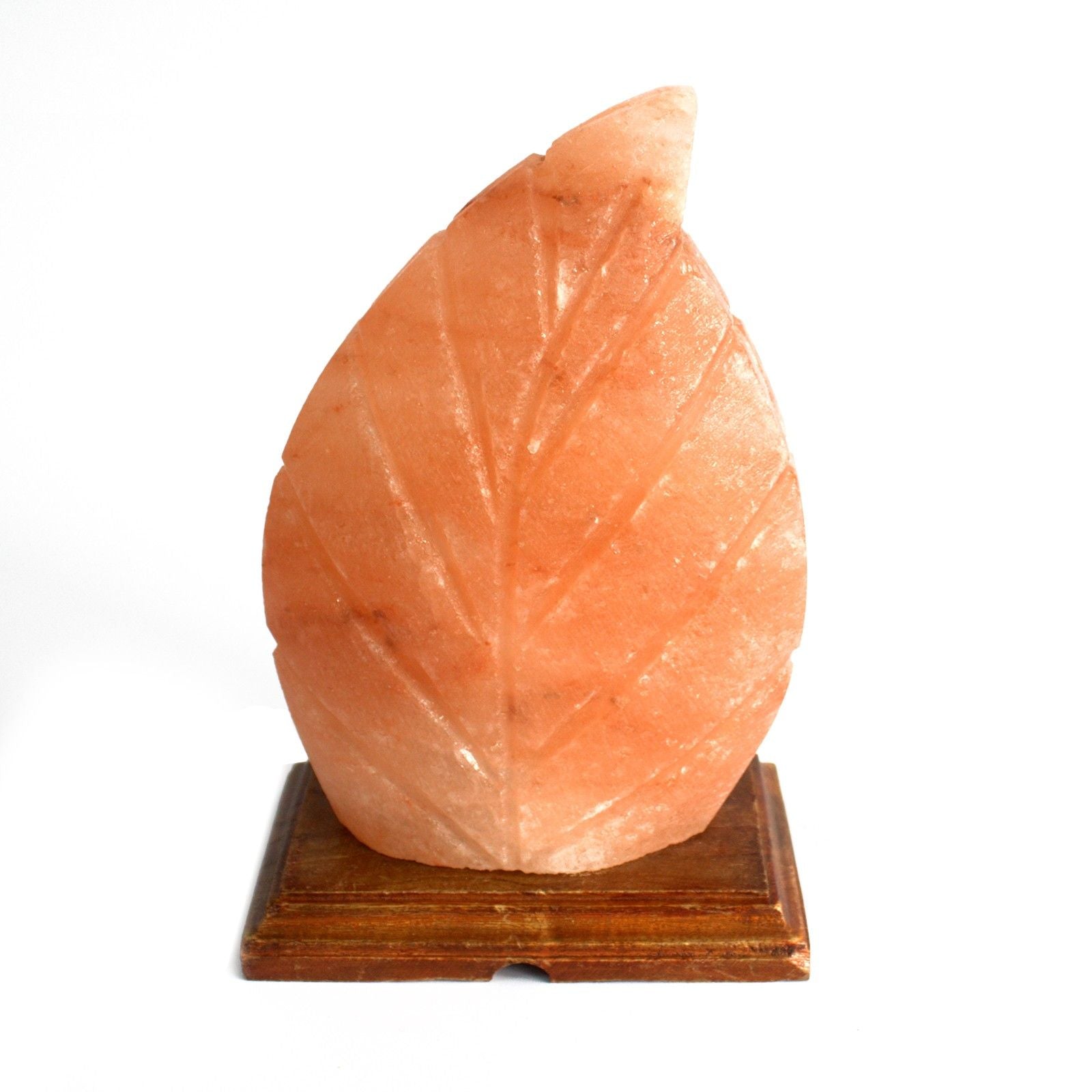 Shape Salt Lamp - Fern product image