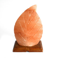 Shape Salt Lamp - Fern product image