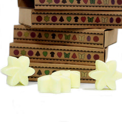 Box of 6 Wax Melts - Lemon Harvest product image 4