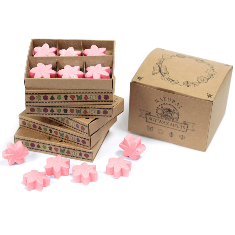 Box of 6 Wax Melts - Classic Rose product image