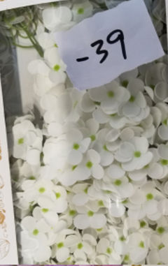 Craft Soap Flowers - Hyacinth Bean - White product image 6
