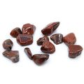L Tumble Stones - Petrified Wood product image
