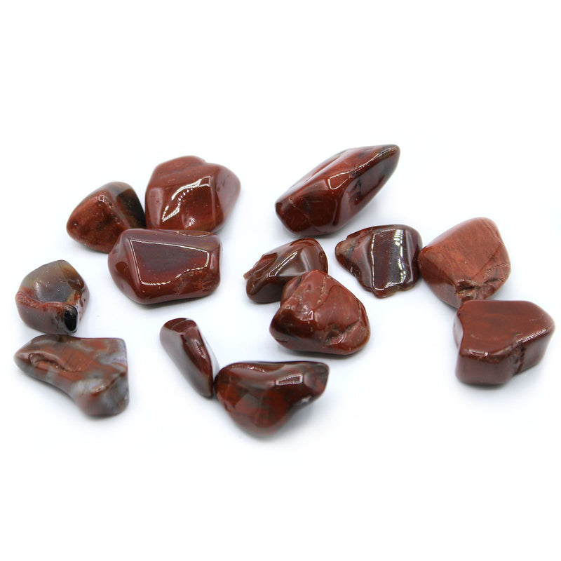 L Tumble Stones - Petrified Wood product image