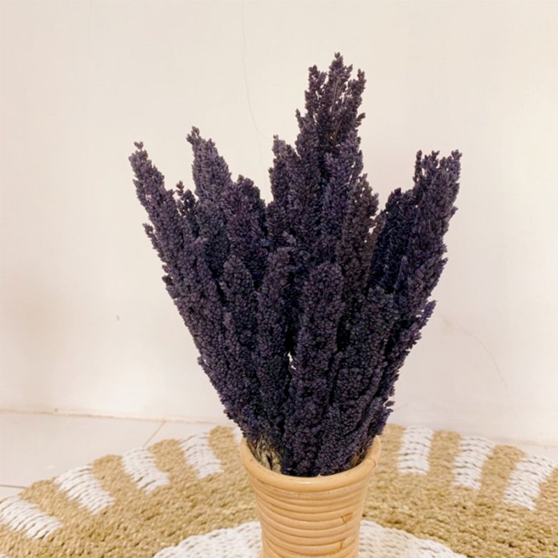 Cantal Grass Bunch - Black product image 4