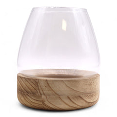 Large Terrarium on Natural Tung Wood product image 2