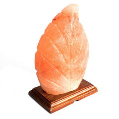 Shape Salt Lamp - Fern product image 2
