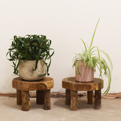 Med Teak Pad Display - 27x15cm product image 2