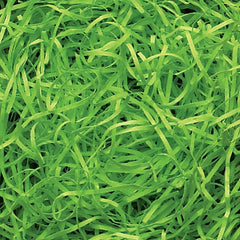 Very Fine Shredded paper - Lime Green (0.5KG) product image