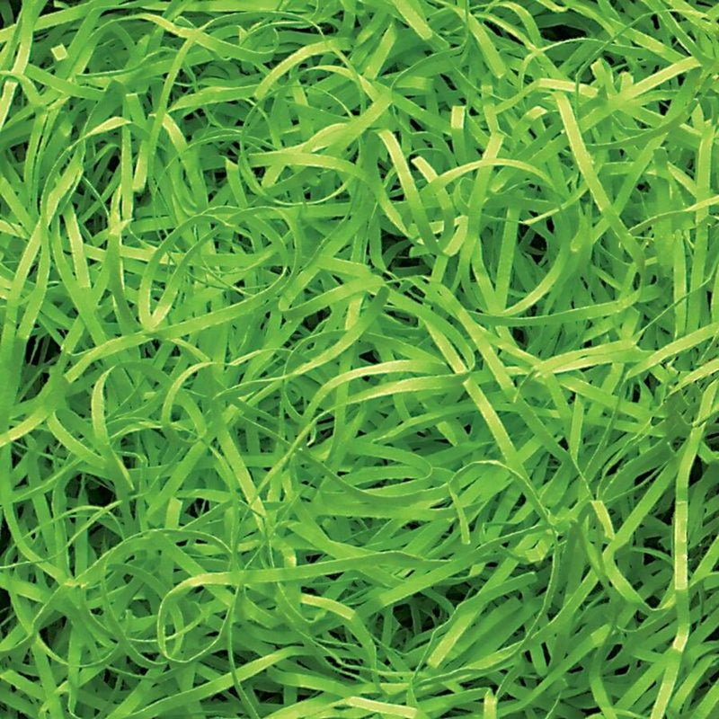Very Fine Shredded paper - Lime Green (0.5KG) product image