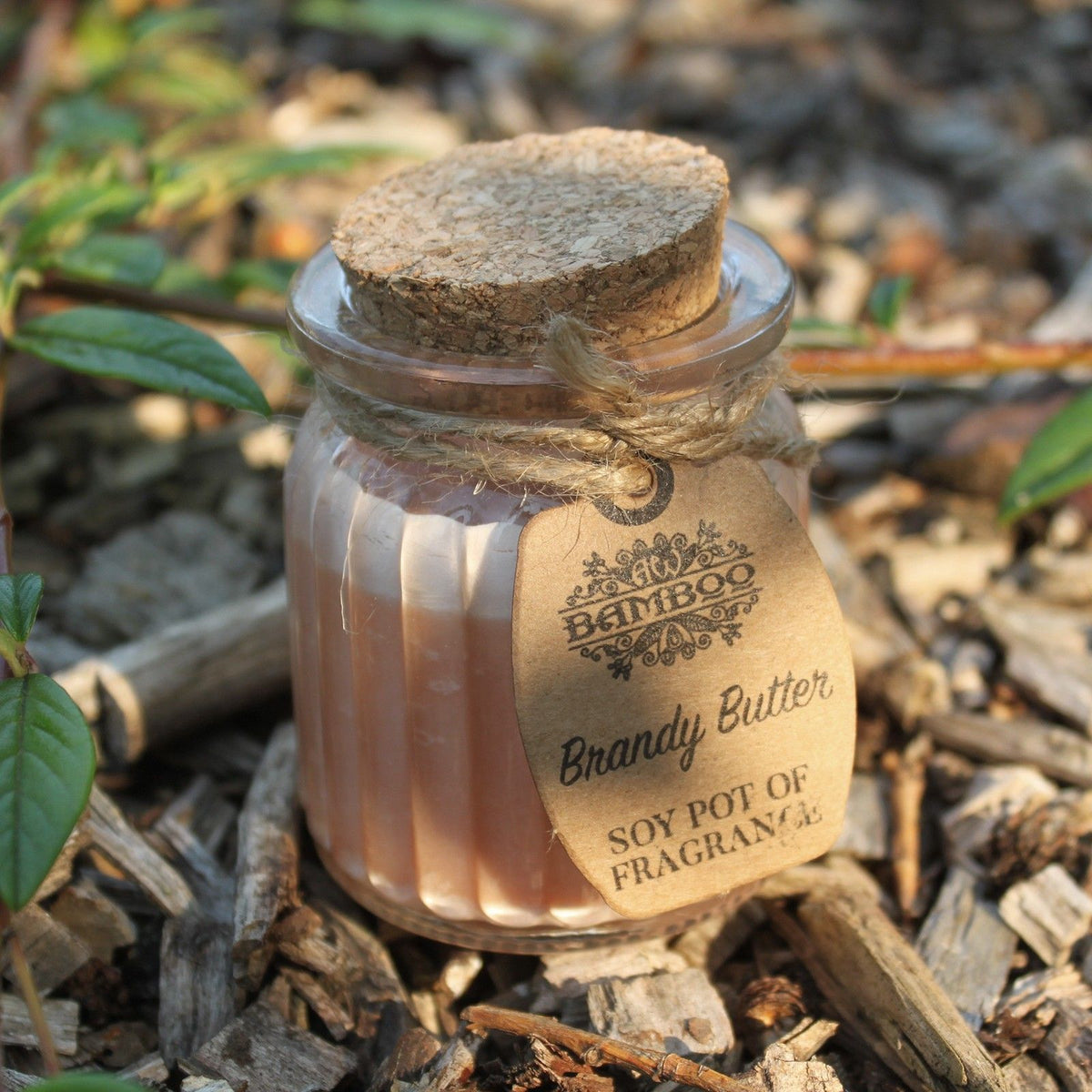 Brandy Butter Soy Pot of Fragrance Candles product image 2