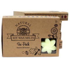 Box of 6 Wax Melts - Lemon Harvest product image 3