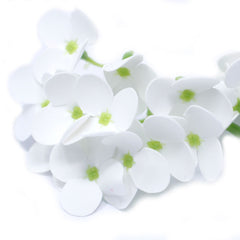 Craft Soap Flowers - Hyacinth Bean - White product image 5