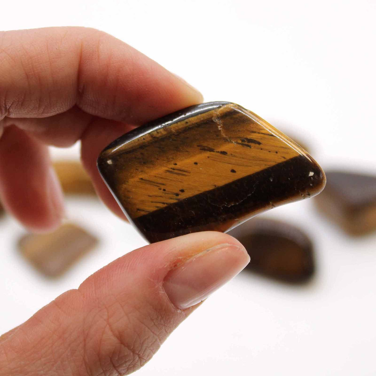 L Tumble Stones - Tiger Eye - Gold product image 2