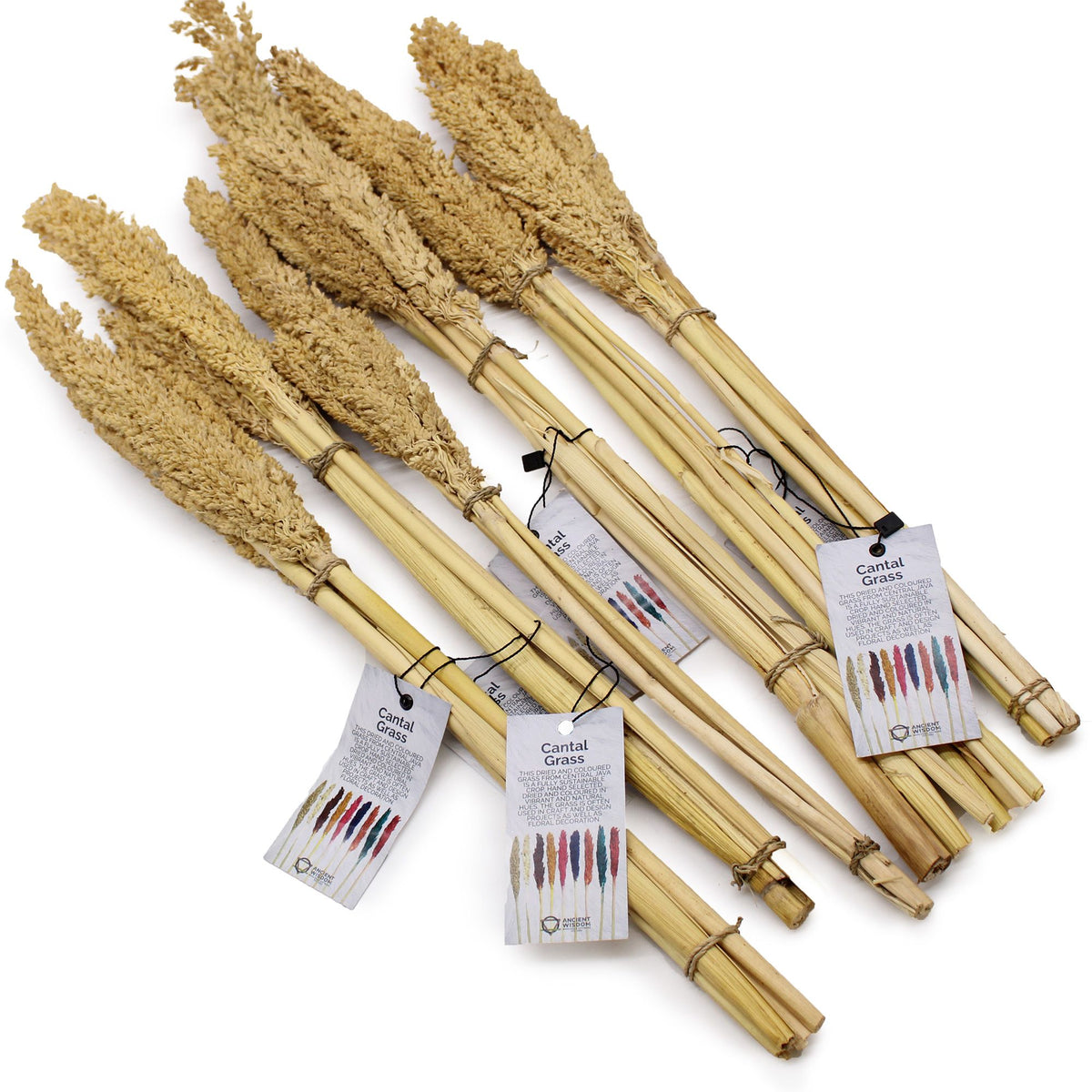 Cantal Grass Bunch - Natural product image 8