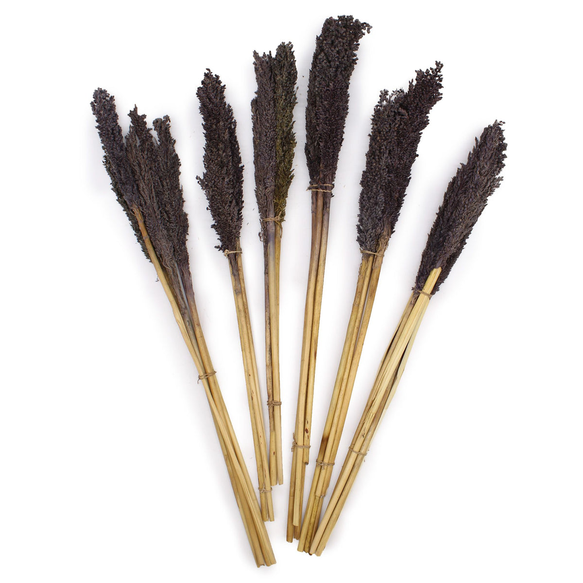 Cantal Grass Bunch - Black product image 3