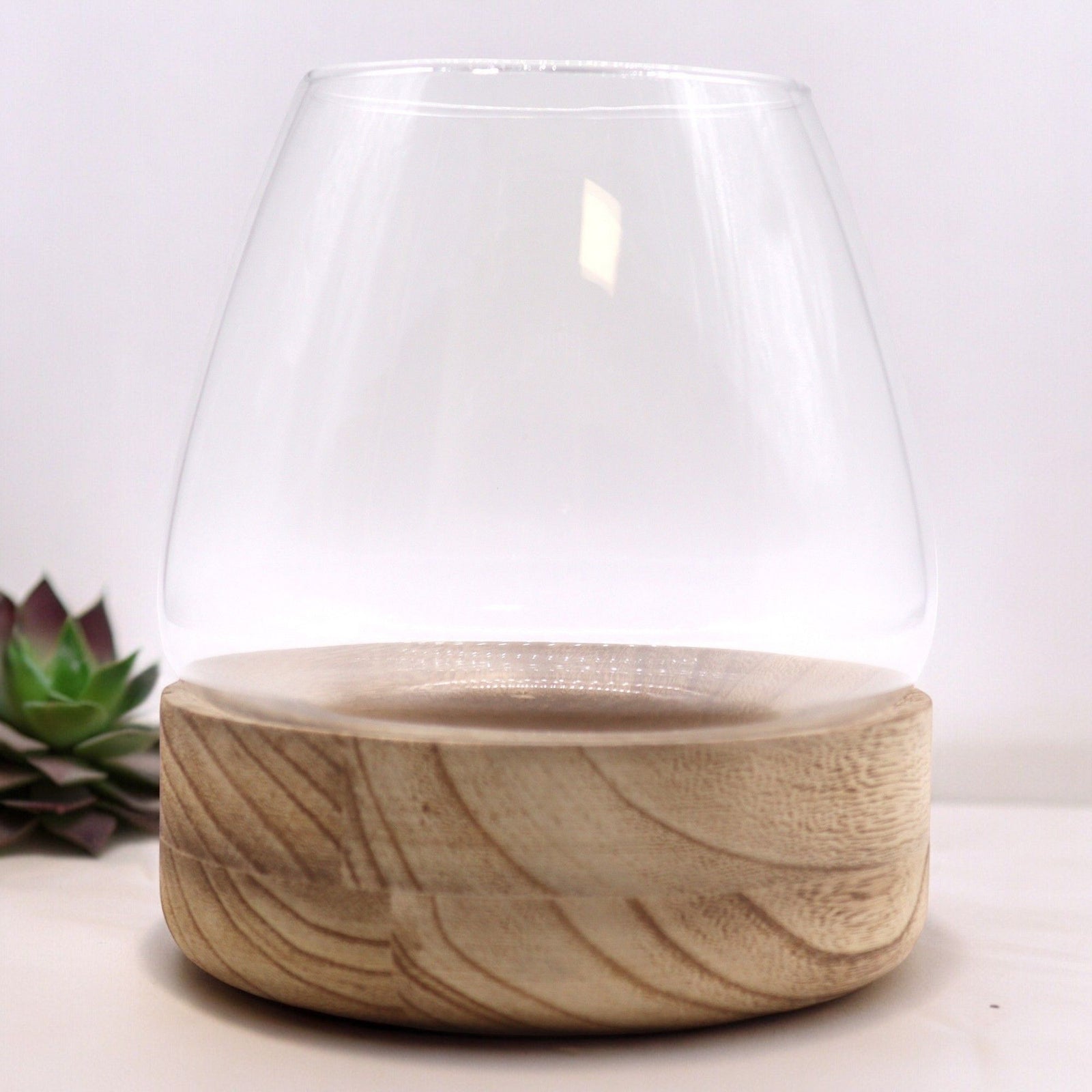 Large Terrarium on Natural Tung Wood product image