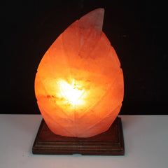 Shape Salt Lamp - Fern product image 3