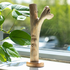 Handmade Parasite Wood Art Carving - Greenman product image 6