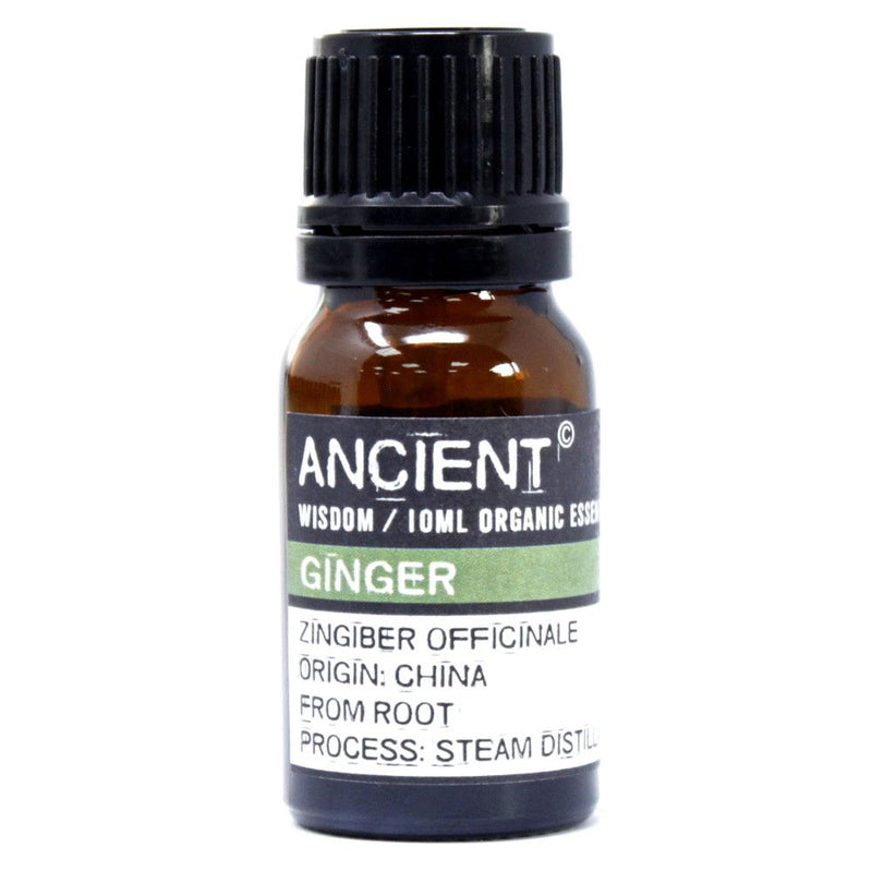 Ginger Organic Essential Oil 10ml product image