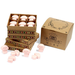 Box of 6 Wax Melts - Old Ginger product image 7
