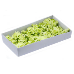 Craft Soap Flowers - Hyacinth Bean - Spring Green product image 5